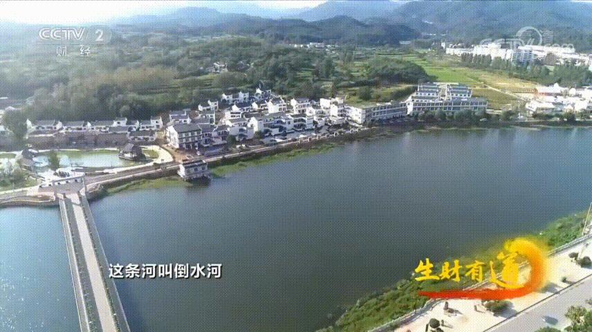 红安最新动态概览