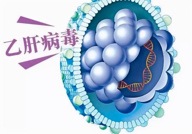 最新肝炎患者数据揭示全球影响