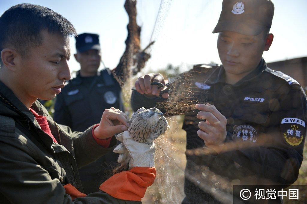 利民网最新消息及观点论述