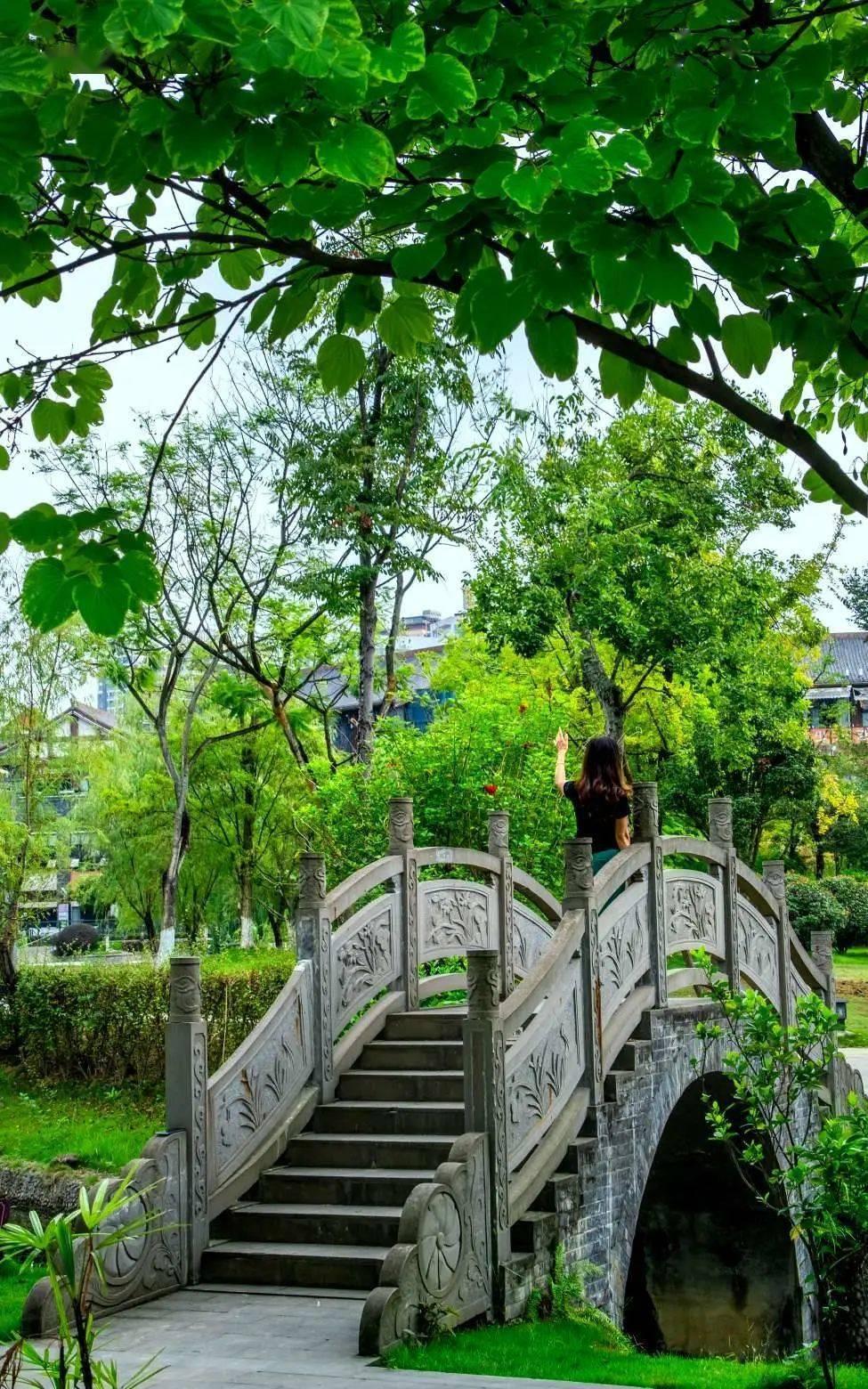 一站到底最新，自然美景探索之旅的治愈力量