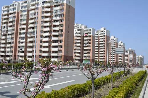 曹路家园网最新版的优劣探讨及其影响分析