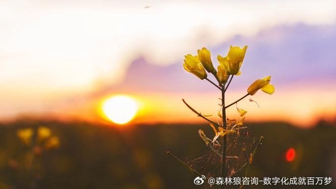 北京动批搬迁最新动态，开启自然之旅，探寻内心平静的力量