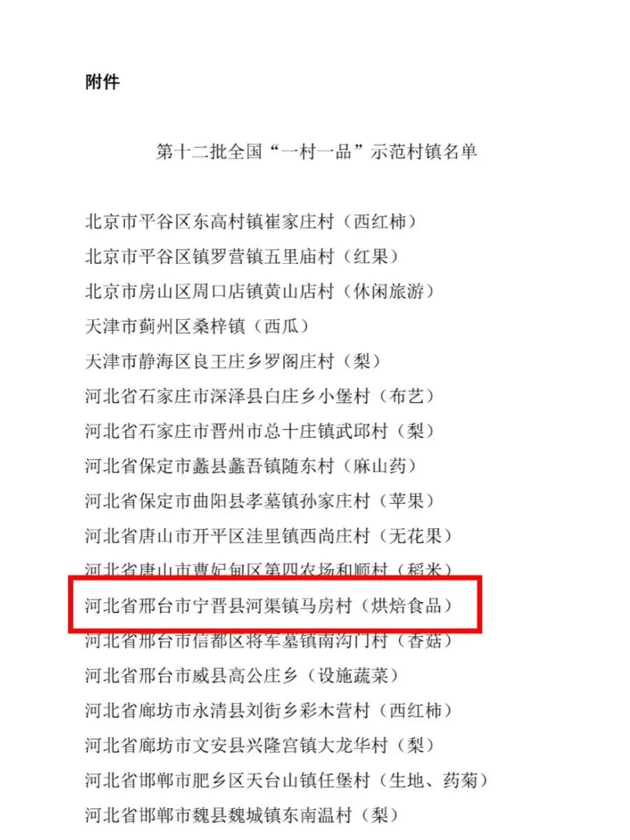 宁晋城北村最新动态，最新消息📣🌱全面更新