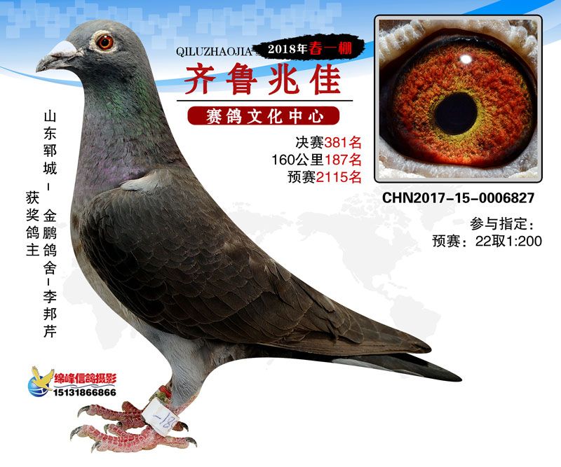 北京金鹏公棚最新动态与观点论述揭秘