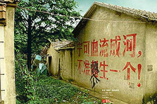 上海单独二胎最新动态，孕育新声与小巷美食的邂逅