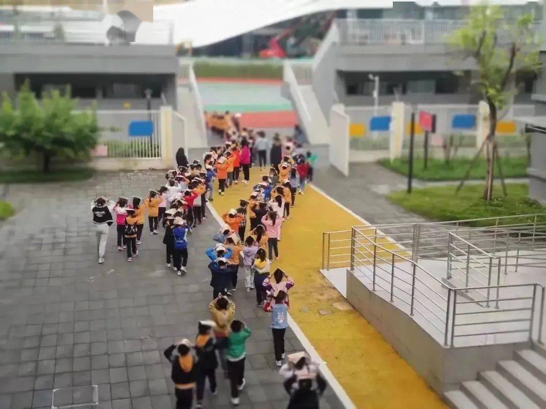 成都金沙二小最新动态，入学报名指南与校园活动参与攻略