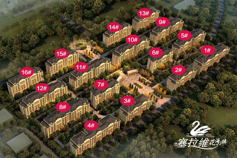 洛阳塞拉维最新动态与详细步骤指南