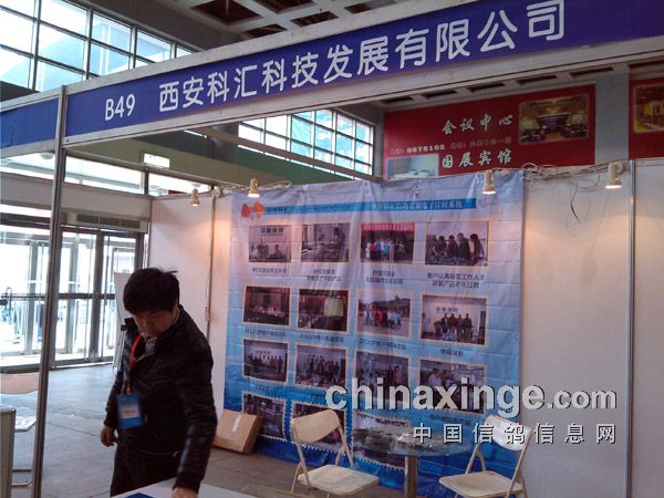 科汇鸽钟最新款图片，温馨陪伴的时尚时光