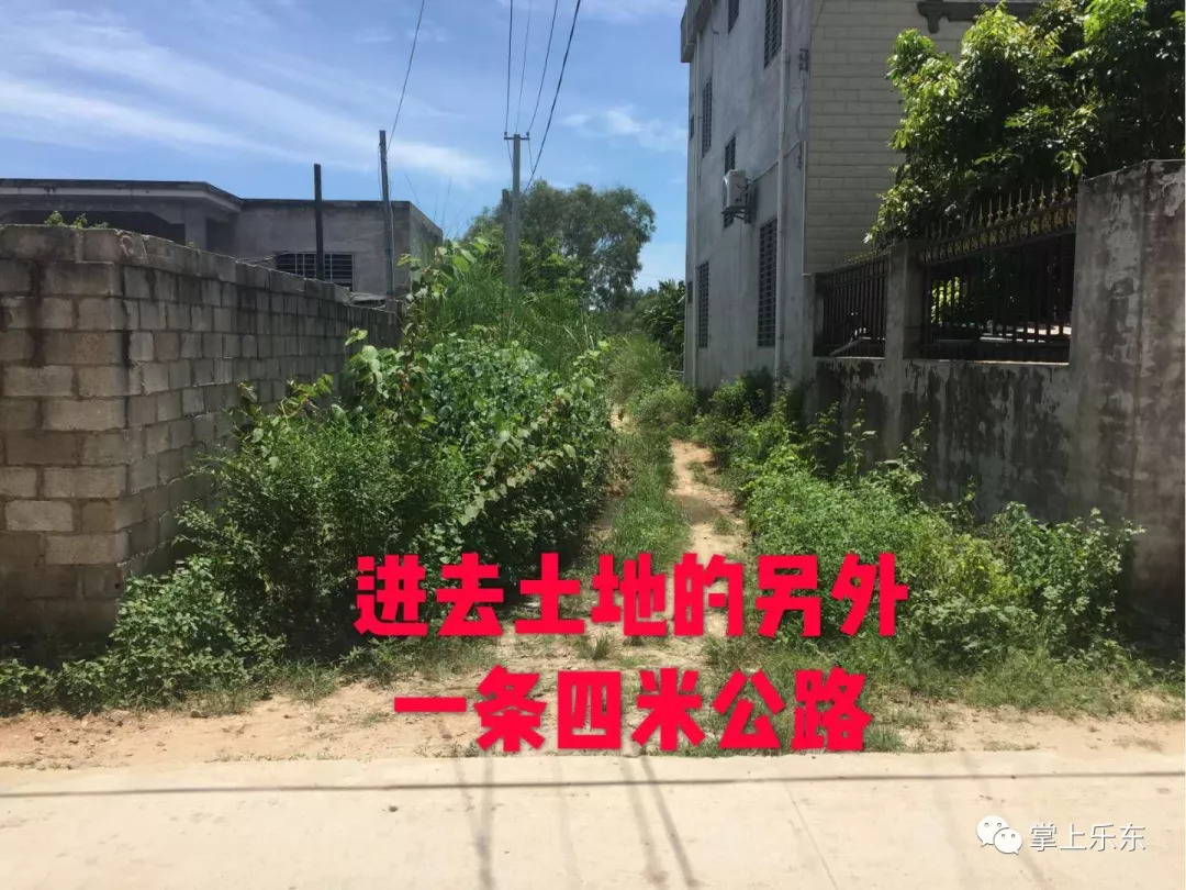 金家坊动迁最新消息更新，最新动态揭秘