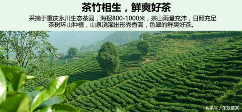 永川茶竹最新招聘网，小巷特色小店探秘之旅