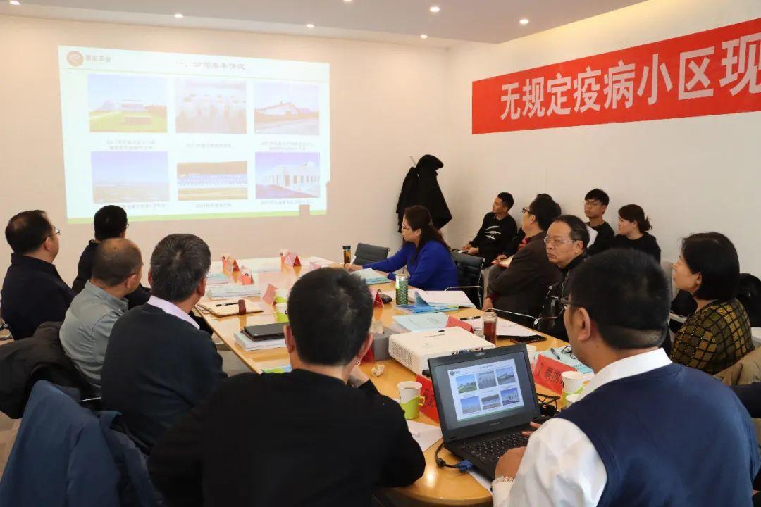 赛诺种羊公司最新动态揭秘，小巷特色小店引领羊界新探索！
