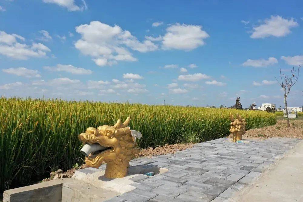 龙袍赵坝智能体验，最新发展与科技前沿的探索