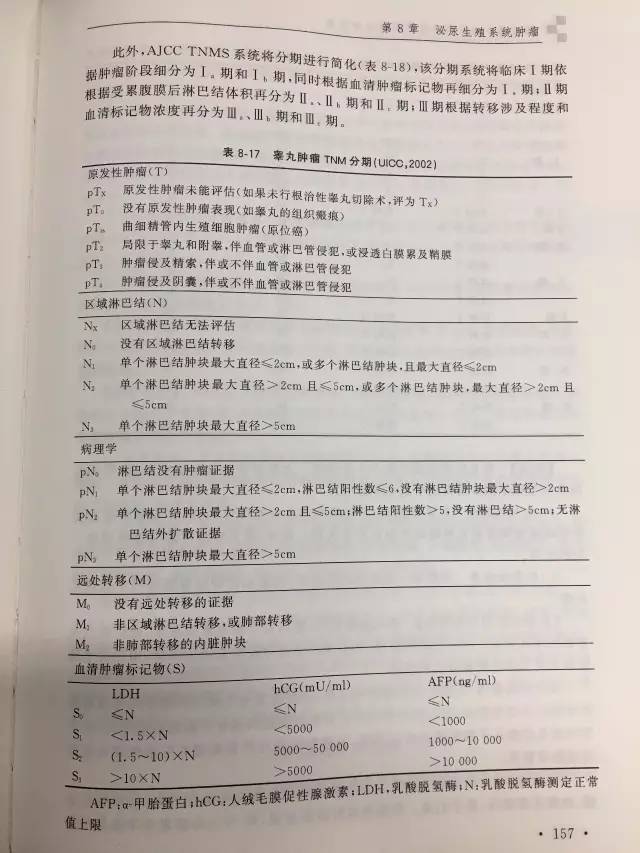 时事辨论会最新一期参与指南，从初学者到进阶用户的辩论步骤