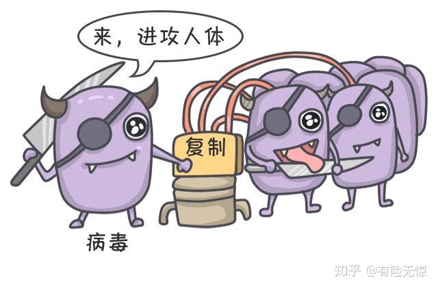 小强的最新免疫之旅，探索奇妙的免疫世界
