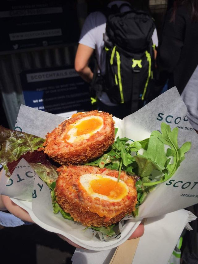 Egg最新知识盛宴，自信与成就感的味觉之旅