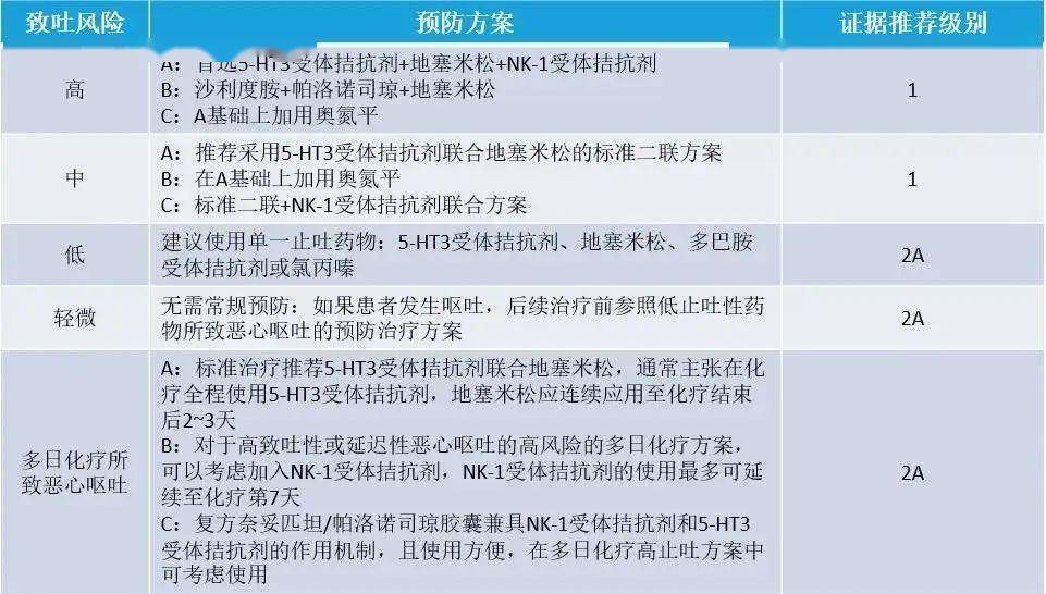 最新呕吐应对与处理步骤指南，初学者与进阶用户必备指南