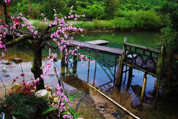 探索自然美景，追寻内心桃花源，最新轻松之旅启程