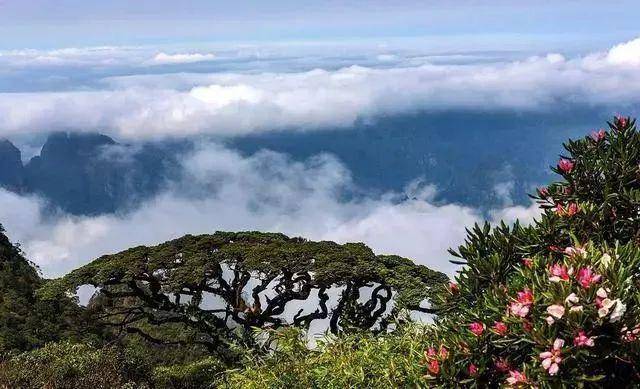 探索自然美景，寻找内心平和——最新ADC之旅助你轻松启程