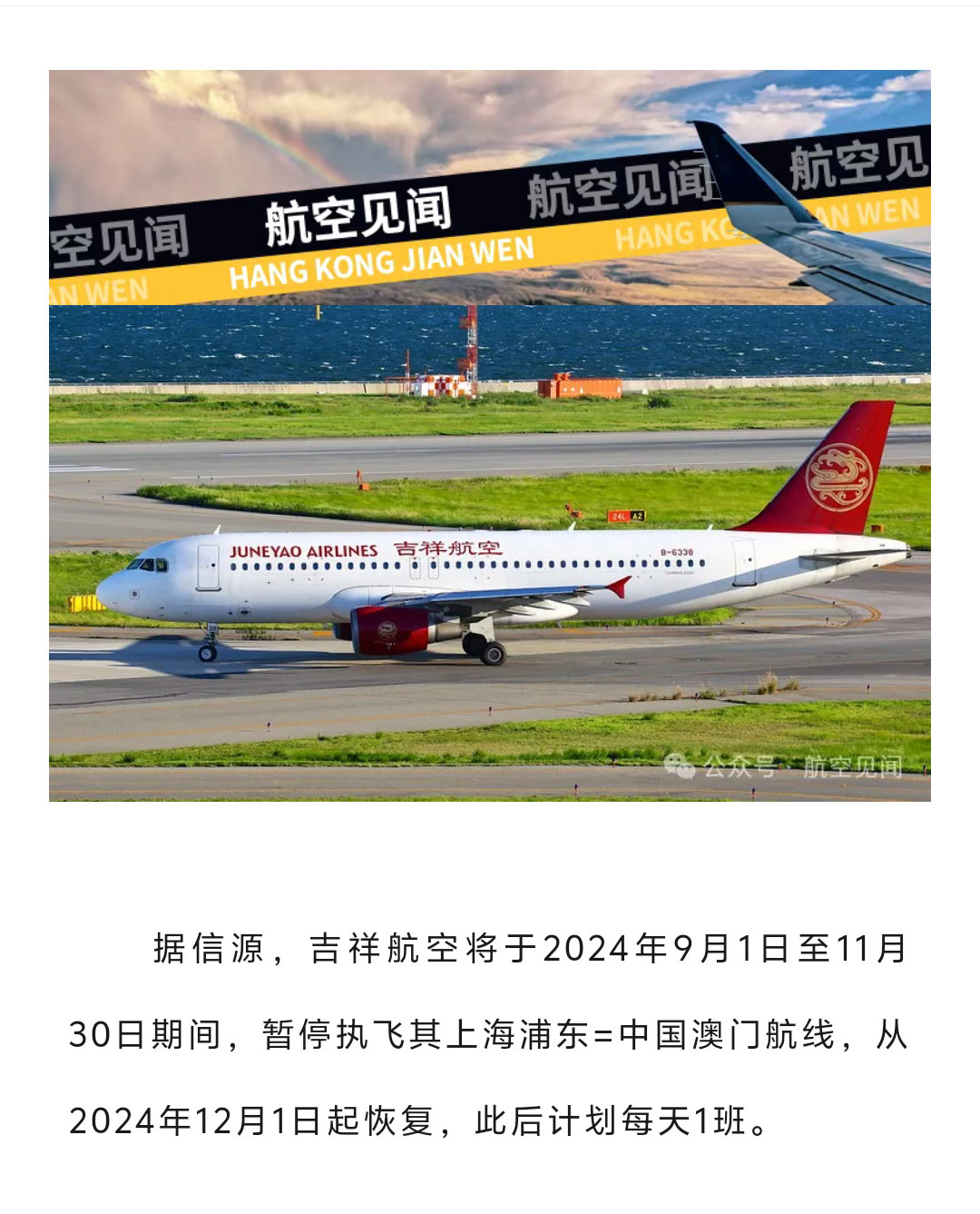 最新停飞情况深度解析，出行必备指南！