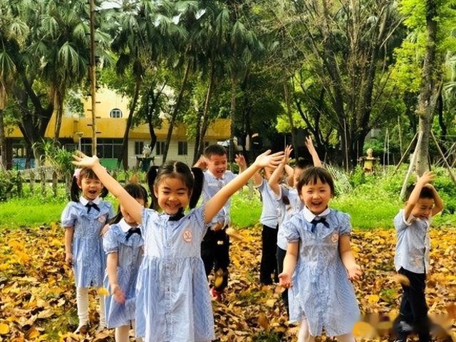 幼师最新动态，小巷深处的特色幼教乐园探索