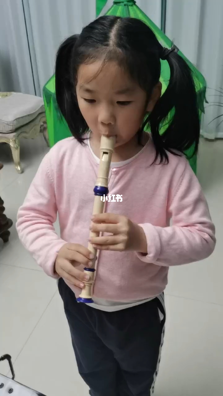 详细步骤指南，如何学习吹奏最新竖笛技巧