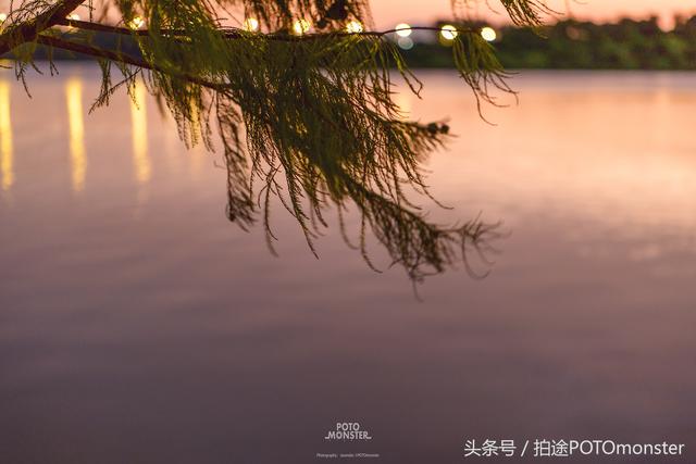 最新铁板探险之旅，探寻自然美景，寻找内心平和与宁静