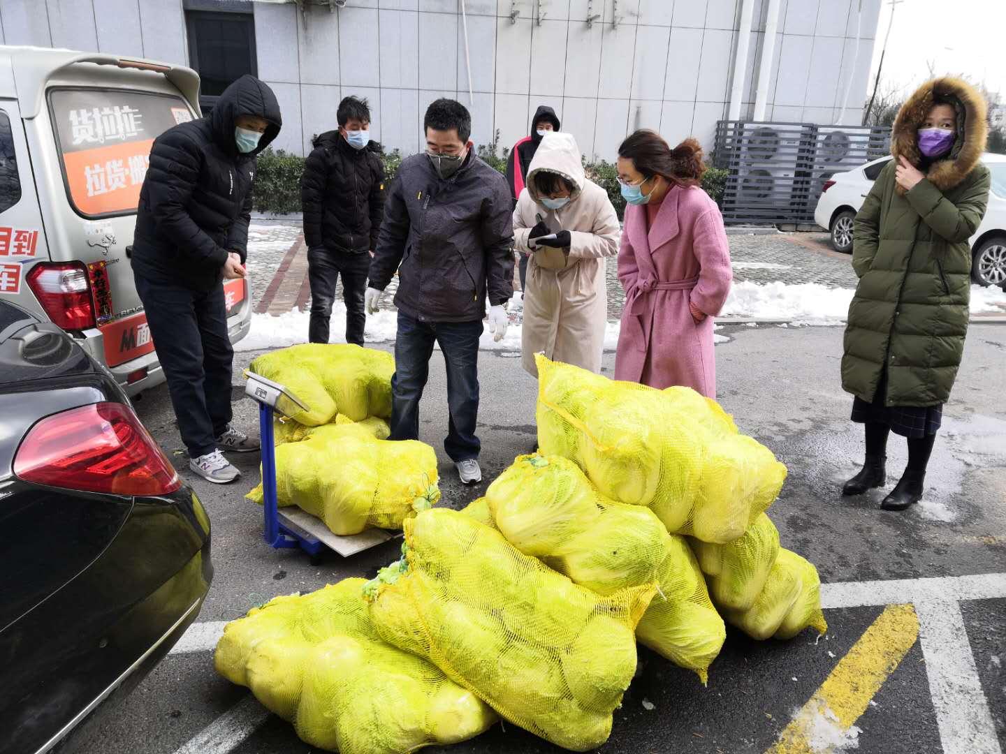 青岛疫情最新动态更新，最新消息汇总