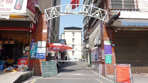 最新全国肺炎疫情动态及小巷深处特色小店探秘