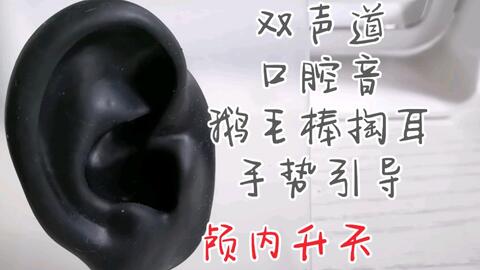 最新掏耳勺，耳朵之旅，寻找内心平静之道