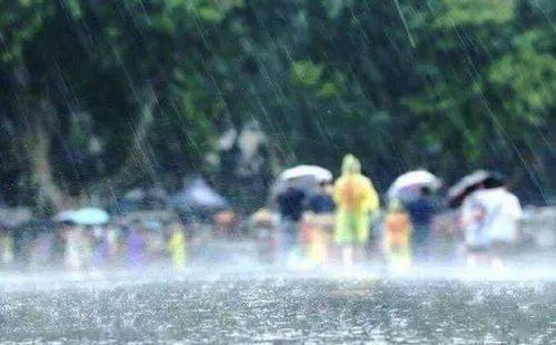 如何应对即将到来的大暴雨天气，最新预报与应对策略全解析