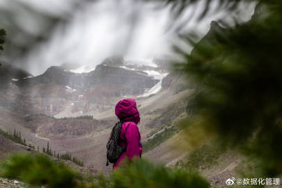 双11数据揭秘，自然美景之旅成抢购新宠，心灵之旅启程！