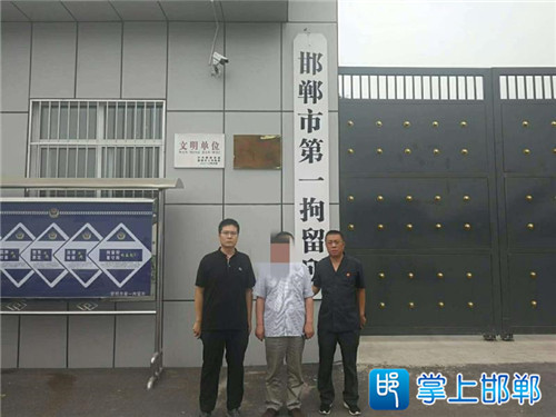 邯郸最新四例深度解读与案例分析报告