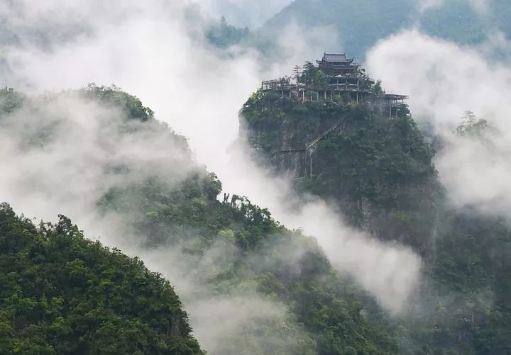 岳宝德最新探索之旅，自然美景的治愈力量