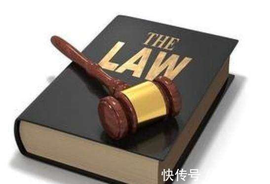 最新法学知识概览，背景、重要事件与地位