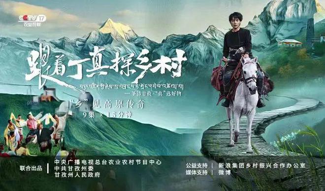 丁真最新动态，自然美景与心灵宁静的探索之旅