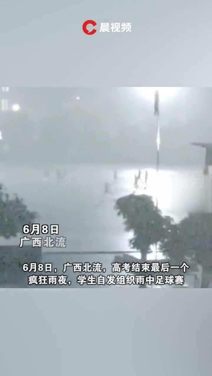 情感与生活交织观点论述，最新雨中泪的思考与感悟