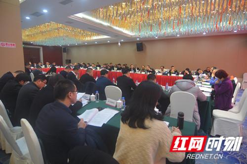 红网娄最新揭秘，独家揭秘背后的真相！
