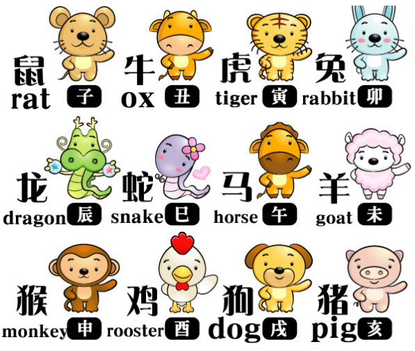 生肖码最新图，揭示中国传统生肖文化的魅力与演变历程