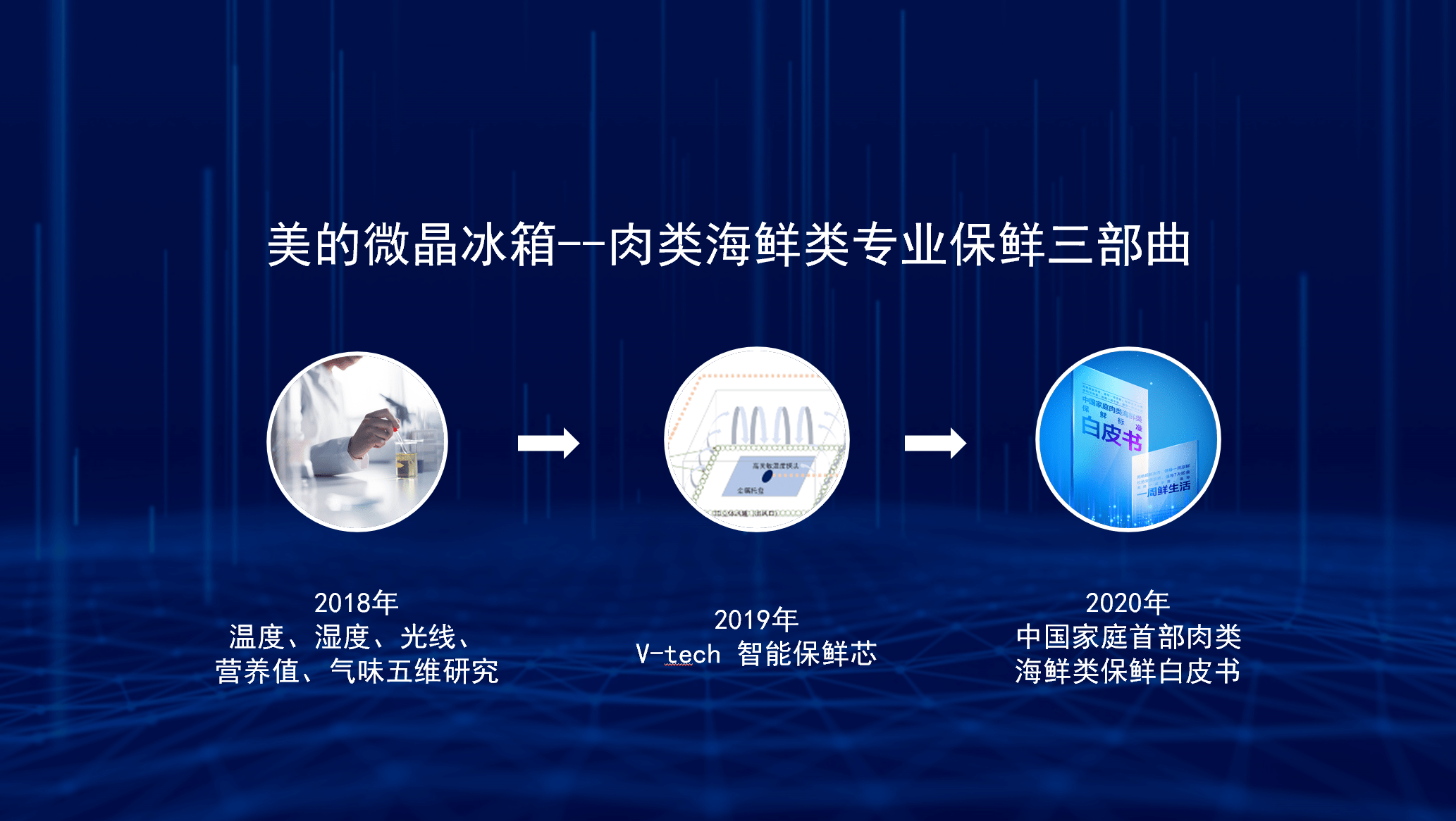 最新渔转海现象深度解析，观点论述与探讨