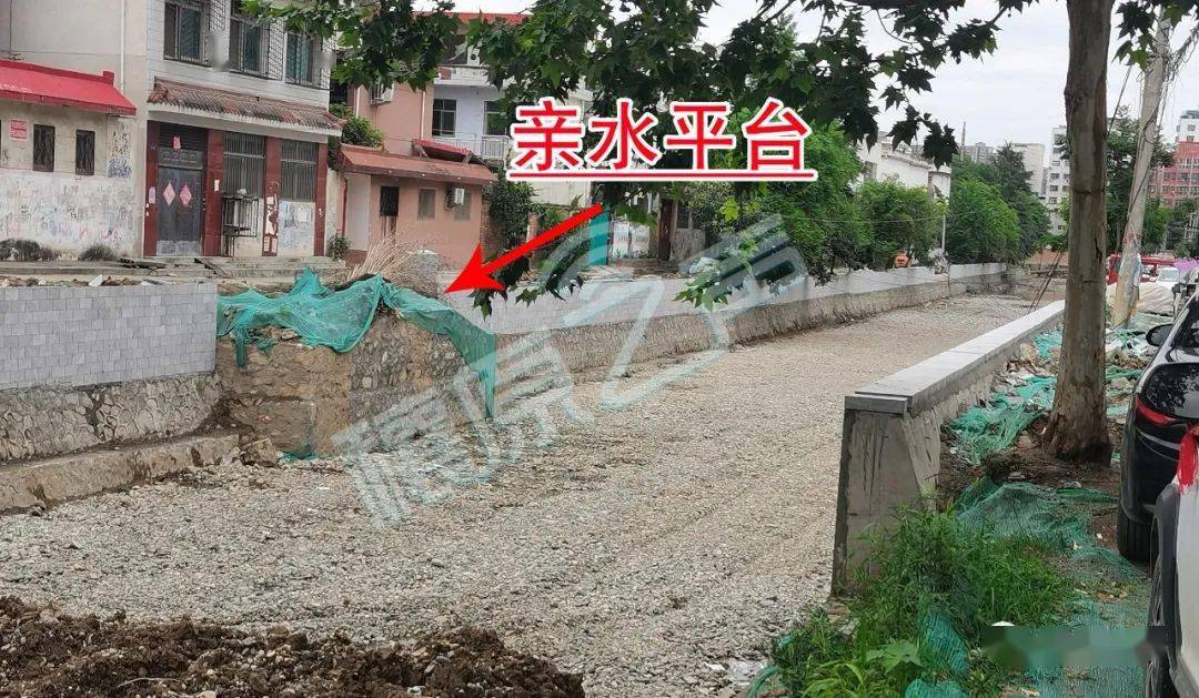 最新养成类，成长与蜕变的热潮