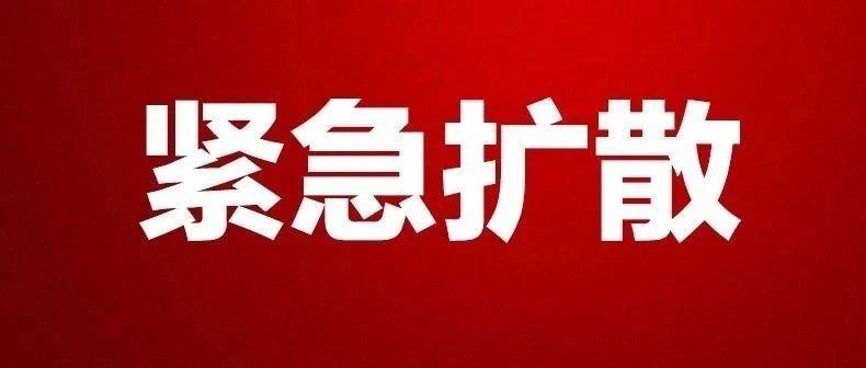 阆中最新病例的温馨日常故事