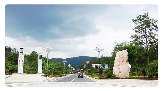 政府最新任免，启程自然美景的探索之旅