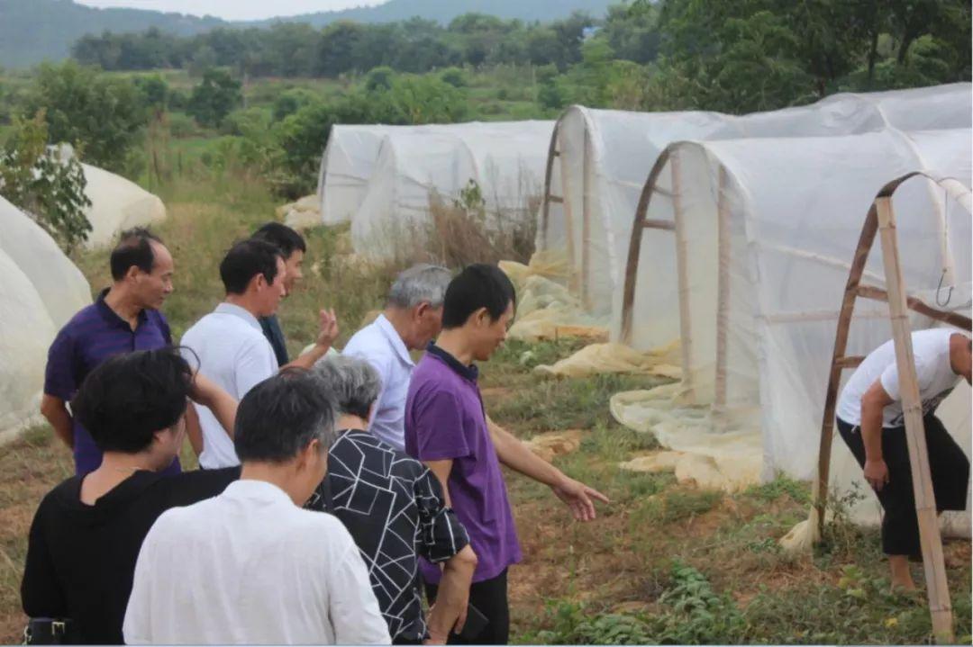 辐射最新新闻详解，获取并了解辐射相关资讯的详细步骤指南