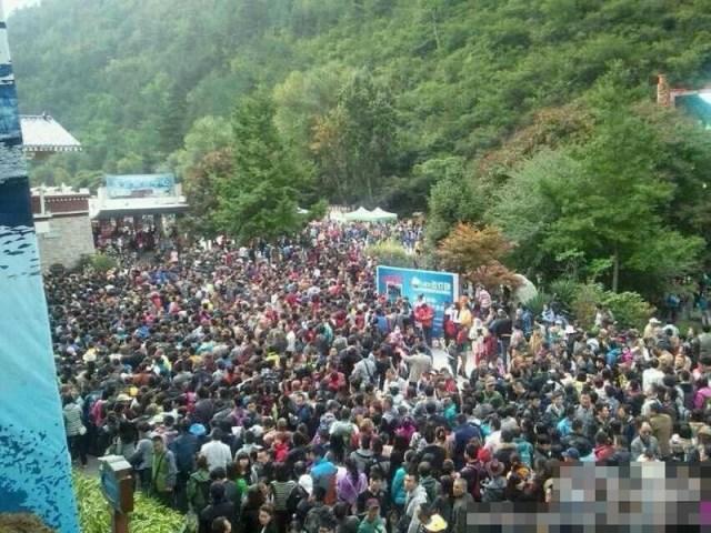 各地旅游最新通知详解，步骤指南与最新动态更新